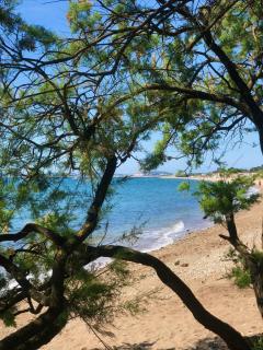 Hôtel de la Mer - Hyères - 5
