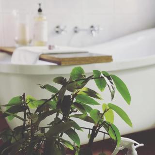 Treehouse Hideouts - Ground Level - Heygarth House Townhouse - Port of Echuca - Echuca - 0