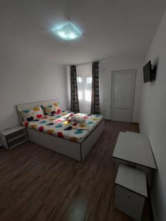 Adelina Guesthouse - Costinesti - 3