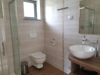 Apartments Vila Darja - 3