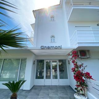 Anemoni Beach Hotel - Città di Skiathos - 6