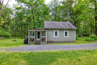 Camelback cottage - on ONE ACRE & near local attractions - Tannersville - 8