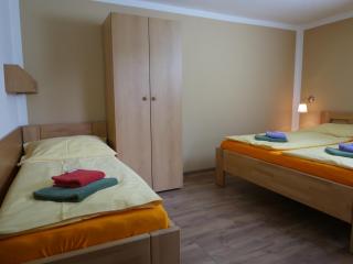 Pension Aspen Harrachov - Harrachov - 4