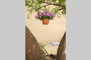 Family home w. yard in Beating Heart of Old Town - Chania - 3