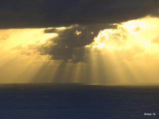 HOTEL LA CASA DE LAS CAMELIAS - 2