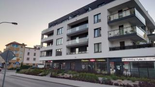Gdynia Wakacje - Gdynia - 8