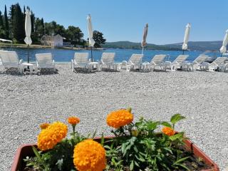 Olea - Tivat - 3