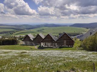 Appartement dans residence de tourisme - Besse-et-Saint-Anastaise - 0