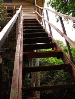 The Thick Forest - Sigiriya - 1