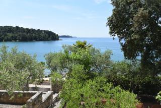 Buric House - Apartments Klasik and Studio Mini - Rovinj - 9