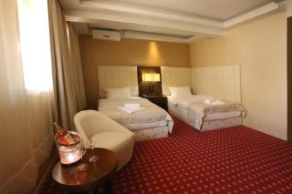 Orbis Design Hotel & Spa - Paraćin - 6