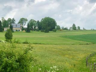 Les Caliciades 1 à Gros-Fays - 1
