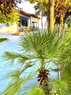 Villa Palma - Alexandroúpolis - 7