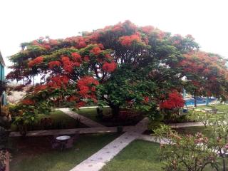 Hacienda San Miguel - 4