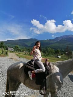 Cabana Agroturistica Runc - 8