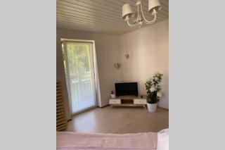 Ferienhaus Bärbelstein / Wohnung Bärbelstein - Erlenbach - 2