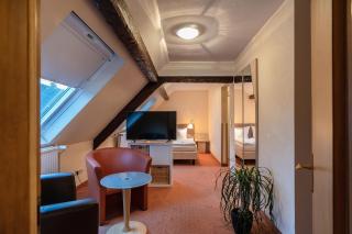 Hotel Altes Weinhaus - Neustadt an der Weinstraße - 6