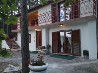 Pineta - Gračišče - 9