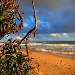 Mirage Beach House at Morava Court - 9