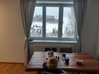 Apartmán u Kunštátského mlýna - Orlické Záhoří - 6