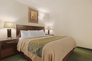 Comfort Inn & Suites - Edmonton - 1