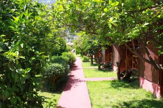 Baris Pension & Bungalows - Cıralı - 9