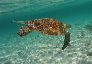 Studio COEUR PASSION VUE MER charme et standing - 4