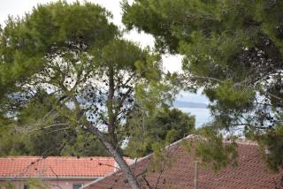 Beachfront - Vali - Tkon - 1