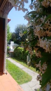 Villetta Cinquale Versilia - Cinquale - 5
