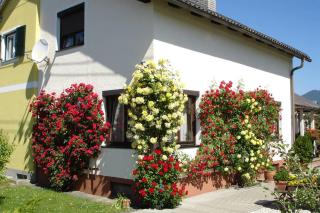 Villa Lindwurm - Klagenfurt - 0