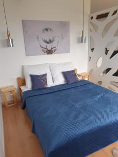 Apartament Panorama - Jeżów Sudecki - 4