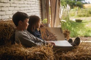 Dambækgaard Sustainable Farm - 4