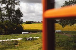 Dambækgaard Sustainable Farm - Hårlev - 5