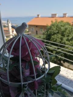 Studio Apartman Manuela - 3