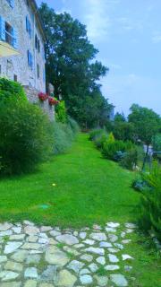 Ruine-Motovun DH - 3