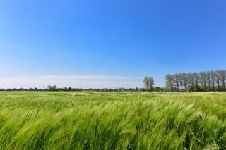 Ferienwohnung Schlipf - 6