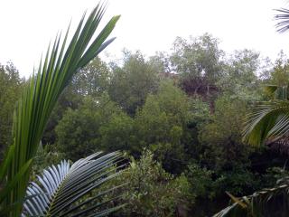 Mermaid Cabana and Tree Houses - Tangalle - 8