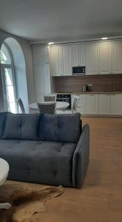 Jaukūs apartamentai centre - Šiauliai - 8