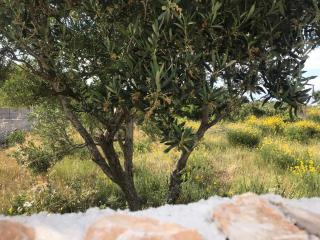 Villa Neva - Vodice - 2