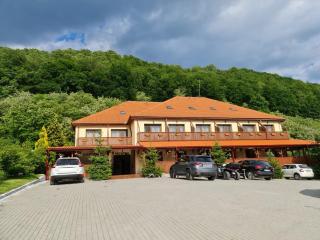 Pensiunea Castania - Pensiune cu piscina la munte - Polovragi - 7