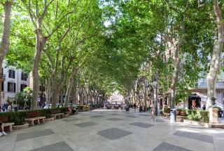 Nivia Born Boutique Hotel - Palma de Mallorca - 8