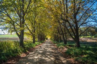 Falling Waters - Nottingham Road - 2
