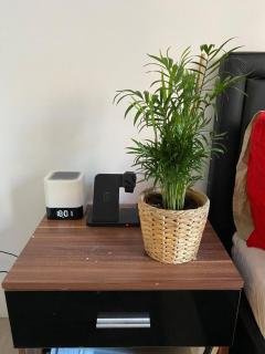 Ashahmali Apartments - Southampton - 4