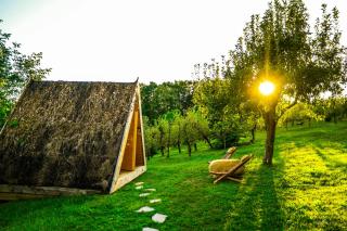 Tourist Farm Firbas - Cerkvenjak - 3