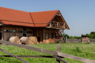 Tourist Farm Firbas - Cerkvenjak - 4