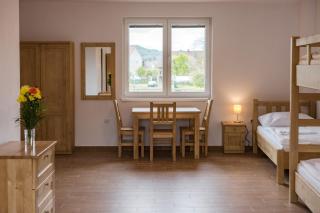 Apartmány pod Pajrekem - Nýrsko - 5