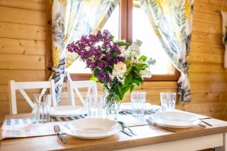 Dusznickie Domki Całoroczne - 1