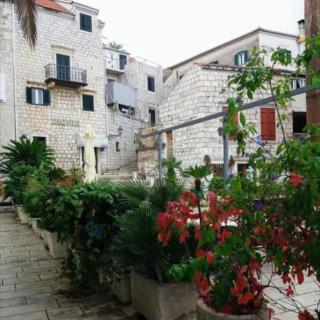 Bed & Breakfast Dionis Vis - Vis - 0