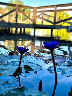 Pousada Village dos Canyons - 2