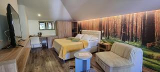 Villa Cardak - Mostar - 6